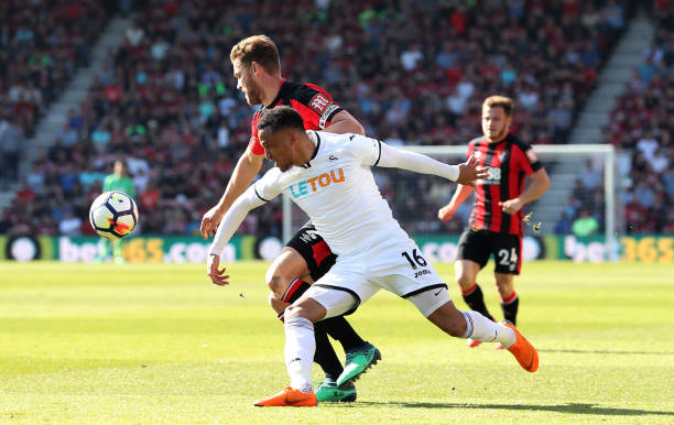 自粉丝和舆 自粉丝和舆